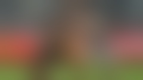 Last Two Minutes | Collingwood v Port Adelaide | Round 10, 2021 | AFL