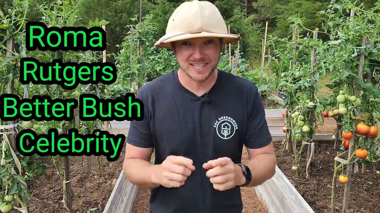 Top Keyword Tips for Growing Tomatoes Expert Gardening Advice