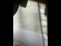 ゆるふわ樹海ガール/リア友に描いてもらったよん