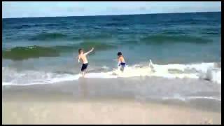 IMG 3737