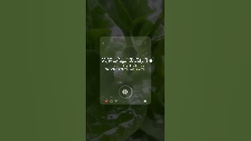 تلاوة تطهر القلب🌿 قران حالات واتس🌿 من سورة السجدة