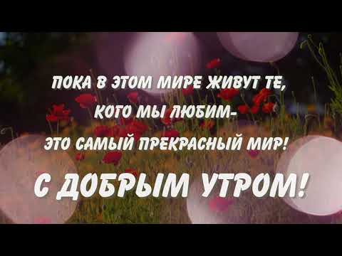 Доброго утра, хорошего дня