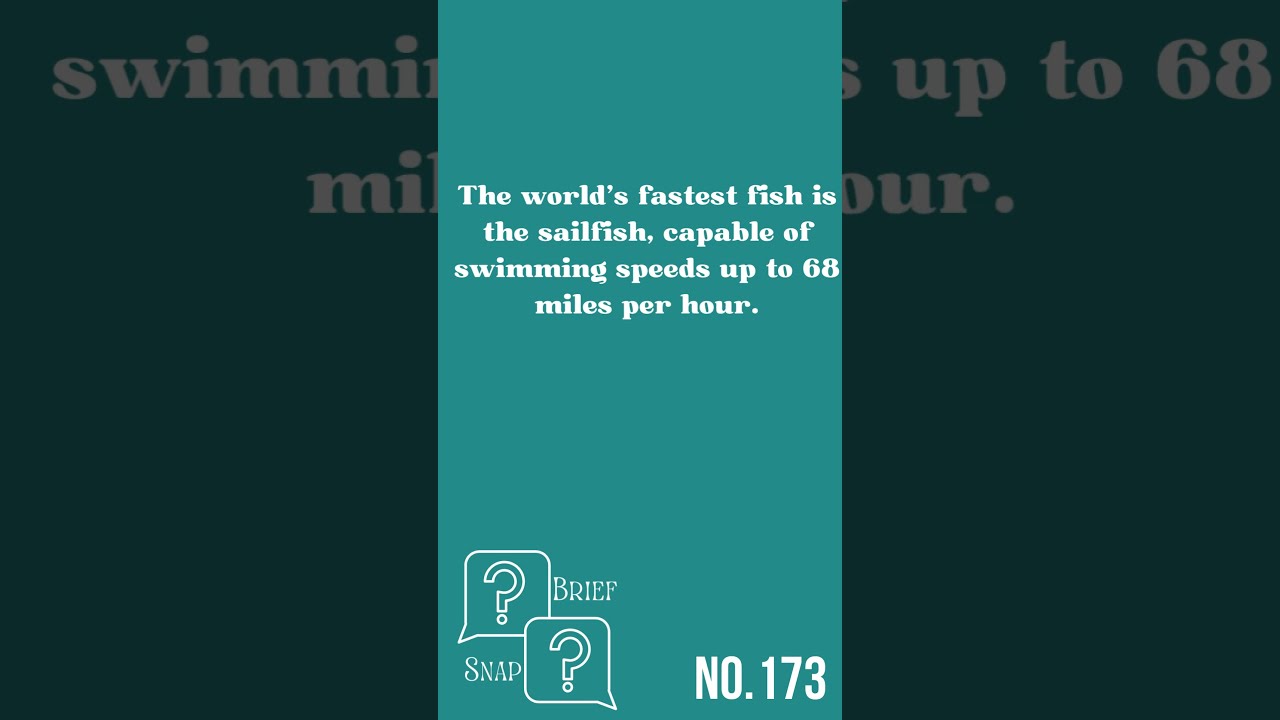 Did You Know Fascinating Facts Explore The Wonders Of World In Under 60 Seconds 37