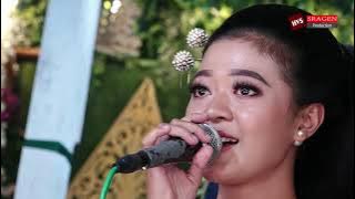 Bukan Tak Mampu Cover Rhiya Violina - Cs.You And Me - Alfa Audio - HVS Sragen