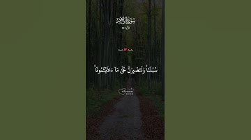 الآية 12 من سورة إبراهِيم : أرح قلبك استمع إلى تلاوة خاشعة من القرآن الكريم تساعد على التدبر والخشوع