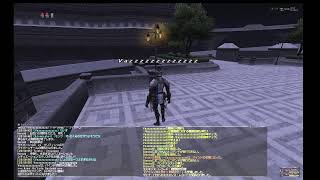 2025/05/25 ff11 ballista hako