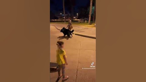 Karen Sends Her Dog To Attack Mine 🤬