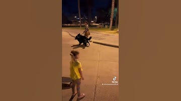 Thumbnail of Karen Sends Her Dog To Attack Mine 🤬