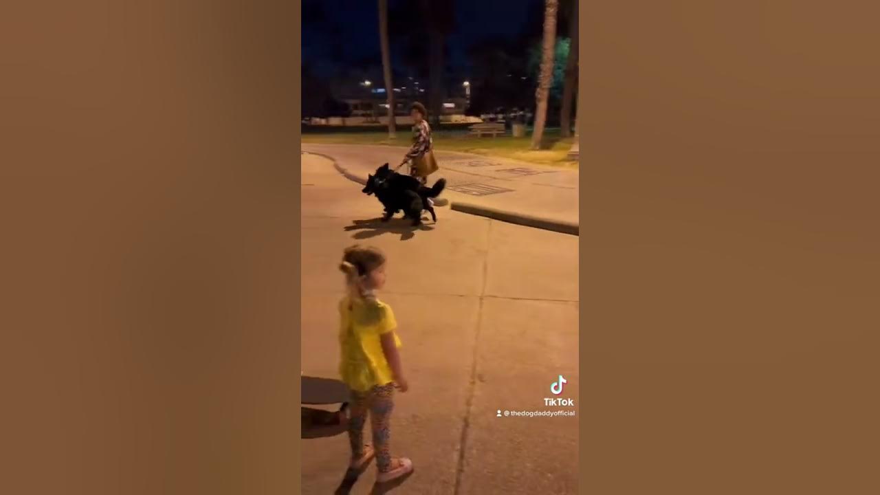 Karen Sends Her Dog To Attack Mine 🤬