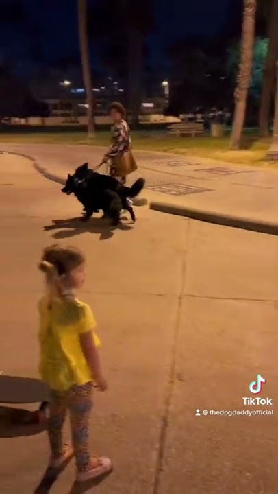 Karen Sends Her Dog To Attack Mine 🤬