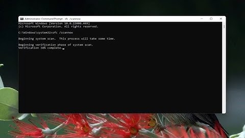 How to Fix Snip & Sketch Not Working Problem in Windows 10/11