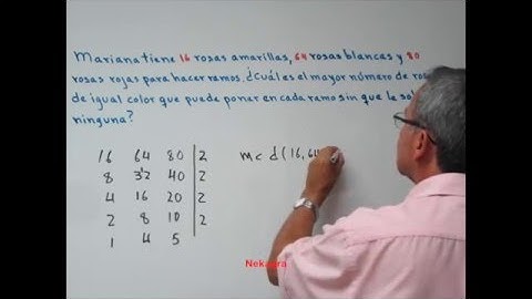 Problema con máximo común divisor (2) por Nekagra.