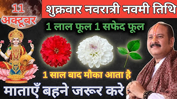 11 अक्तुबर शुक्रवार नवरात्रि नवमी तिथि को 1 लाल फूल 1 सफेद फूल का उपाय जरूर करे ||Pradeep Ji Mishra