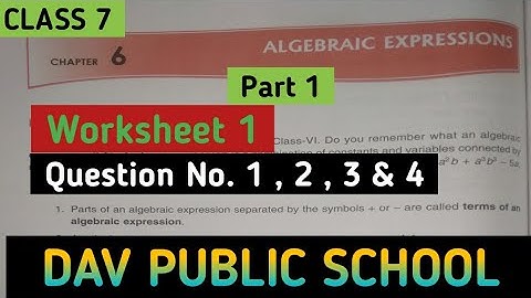 DAV Class 7 Maths Chapter 6 Worksheet 1 || Algebraic Expressions || @madhubanclasses