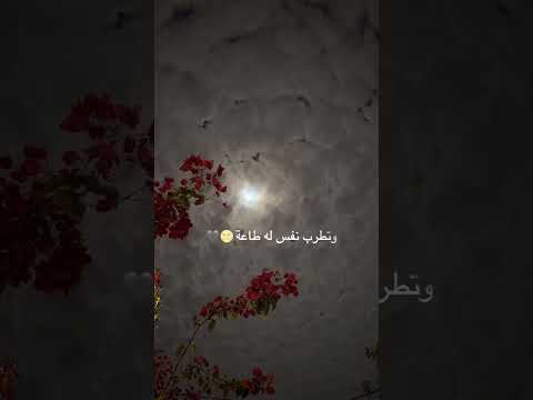 جمال الوجود بذكر الإله صوت محمد المقيط