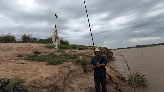How to Catch Carp fish in MeKong River || កេាះដាច់ត្រីនៅតែច្រើន សម្បាយណាស់