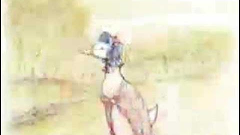 Beatrix Potter Slideshow