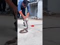 Smart Snake Capture Using Only a Plastic Container
