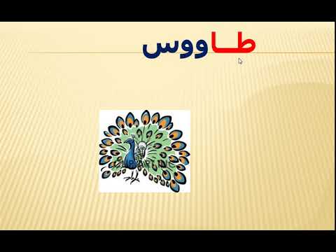 فيديو حرف ط