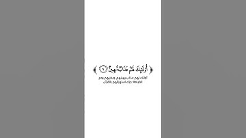 كروما شاشة بيضاء قرآن كريم 🌿تلاوة من سورة الجاثية  🌿القارئ رائد المنذري 🌿