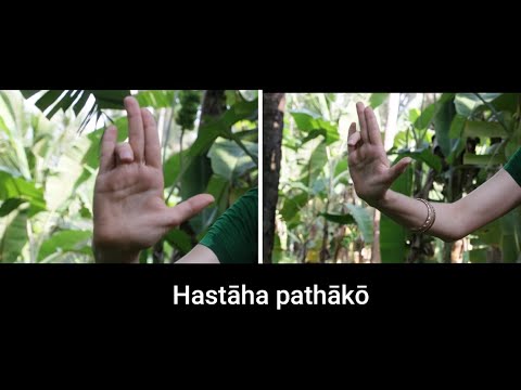 Video: Ilang mudra ang mayroon sa mohiniyattam?