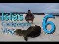 Islas Galápagos Vlog 6 | Leones Marinos en Islote Mosquera y Sombrero Chino