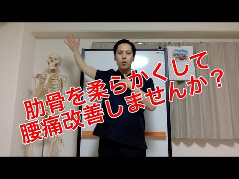 【高槻 腰痛】肋骨を柔らかくして、腰痛改善しませんか？