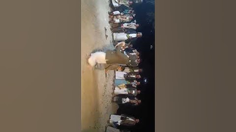 اجمل برعة حاشدية# ياسين عليهم