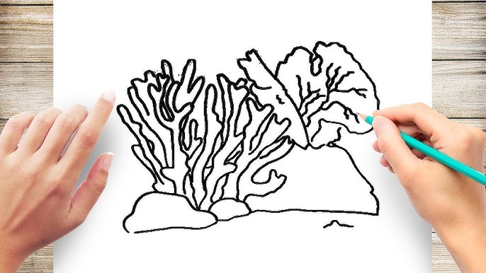 how to draw coral reef , where are the coral buddies in fortnite how to draw coral reef , where are the coral buddies in fortnite