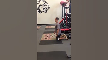 Assisted Nordic Hamstring Curl