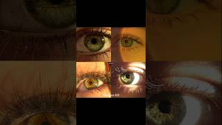 When The Sun Meets The Colours Of The Iris