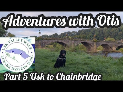 Usk Valley Walk with Otis : Part 5 : 6 miles walk from Usk Town Bridge to the Chainbridge