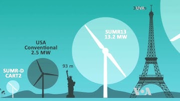 What Do Palm Trees and Wind Turbines Have in Common?