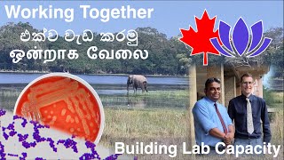 Building laboratory capacity: healthy animals for healthy people