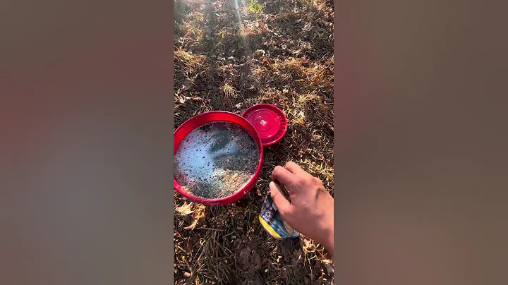 Swamp Juice: Best wild hog bait - HOW TO BRING IN WILD PIGS