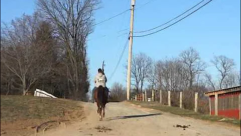 3-29-30BOHorses 331.MP4