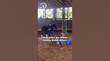 Finding The Holes In Your Horse’s Training! Part 8! | The Horse Guru - Michael Gascon