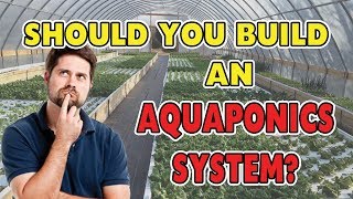 🌿 17 Benefits of Aquaponics - SHOULD YOU BUILD A SYSTEM? 🌿