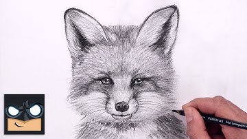 How To Draw a Fox | Sketch Tutorial (Step by Step)