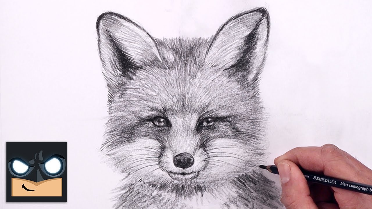 ⁣How To Draw a Fox | Sketch Tutorial (Step by Step)