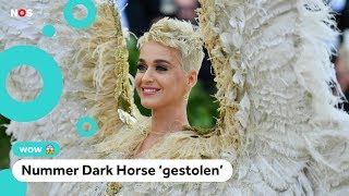 Katy Perry krijgt boete van 2,5 miljoen euro