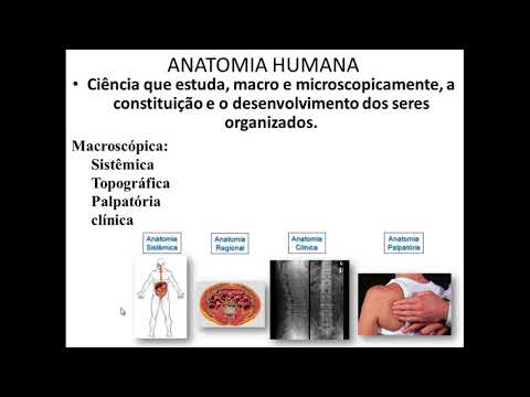 INTRODUÇÃO À ANATOMIA HUMANA