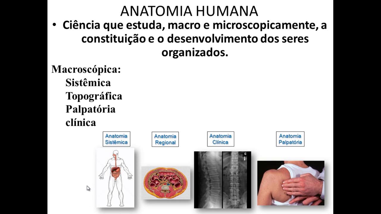 Introdução a anatomia humana