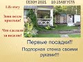 Зона возле крыльца! Первые посадки у шпалеры! Подпорная стенка своими руками!