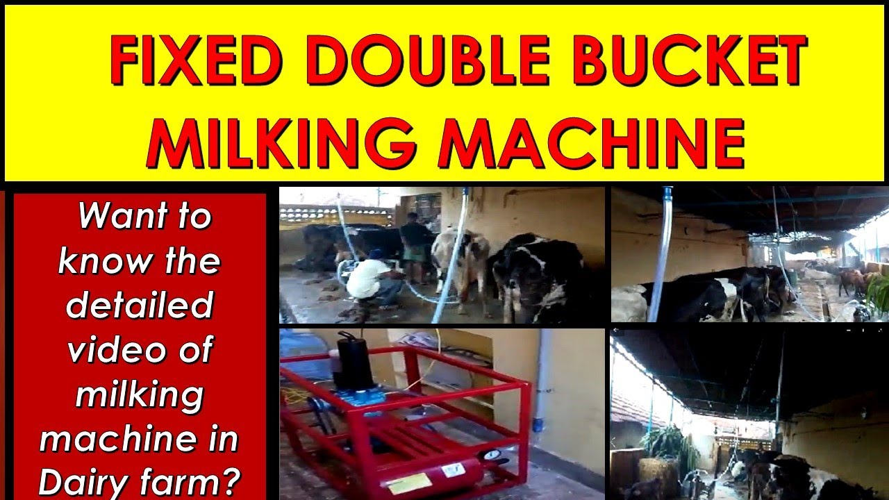 Milking Machine/Double bucket milking machine/Low cost milking machine