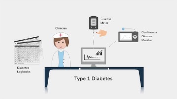 IDMVis: Temporal Event Sequence Visualization for Type 1 Diabetes Treatment (VIS 2018 FFWD)