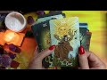 Northern Animal Tarot - Unboxing and first look