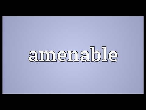 Amenable Meaning