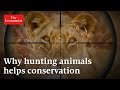 Why trophy hunting helps protect animals