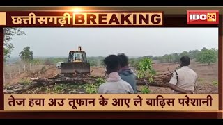 Ambikapur News : तेज हवा अउ तूफान के आए ले बाढ़िस परेशानी | कई इलाका म पेड़ गिरे ले बिगड़िस व्यवस्था